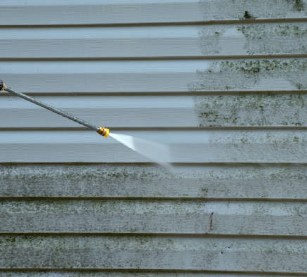 Cleaning the mold from the vinyl siding on this exterior wall is a job for the handyman or the professional.